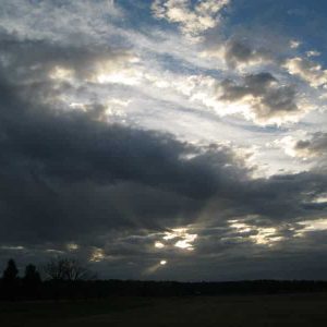 IMG_0036