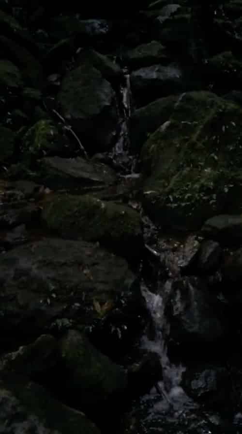 water